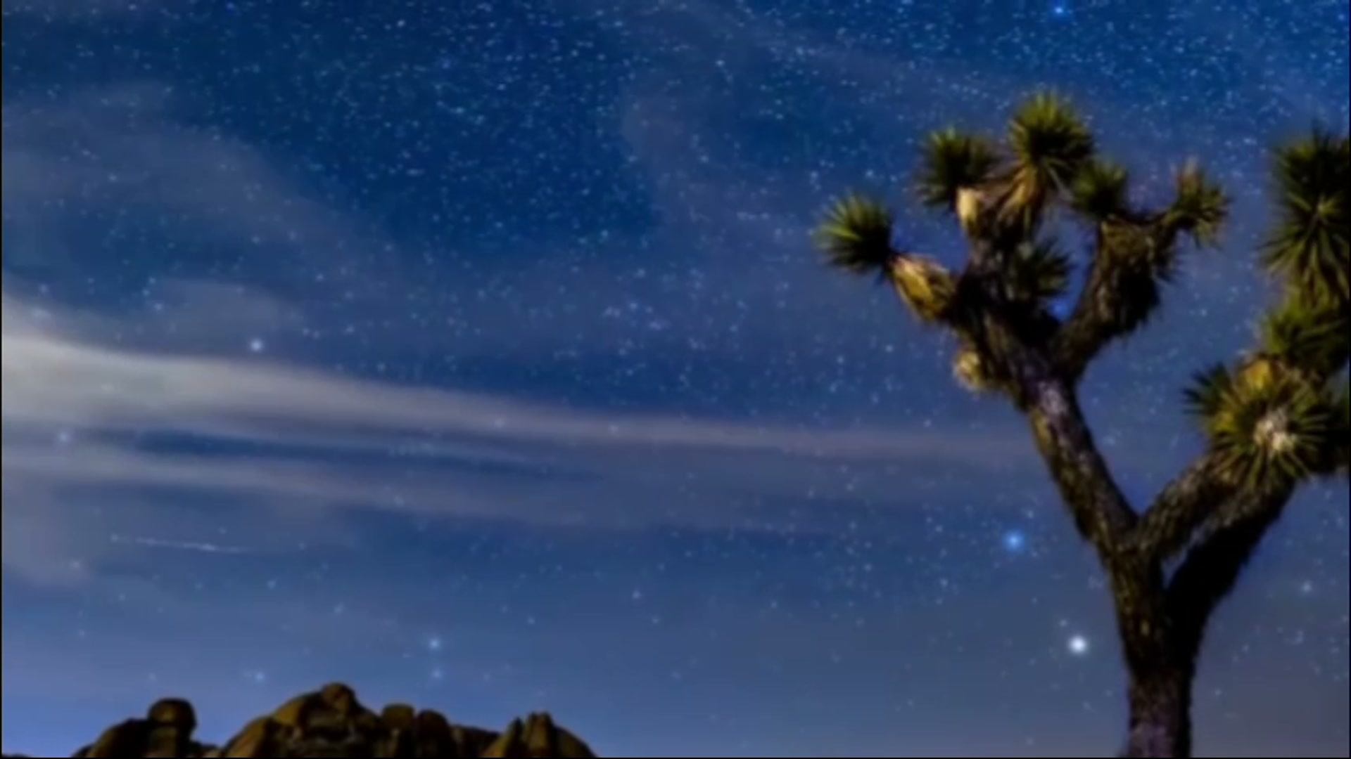 Video still from Starlight