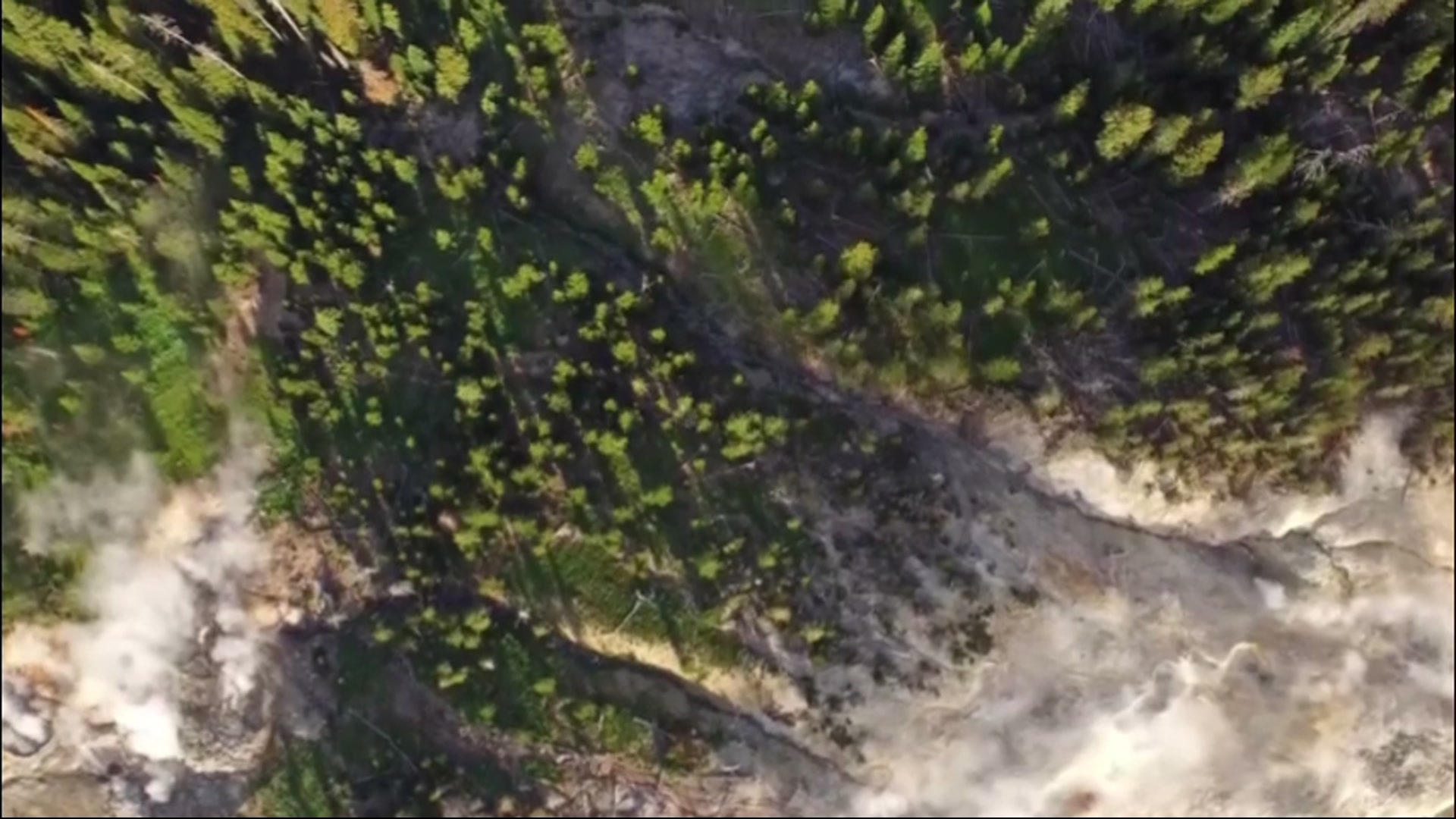 Video still from Yellowstone
